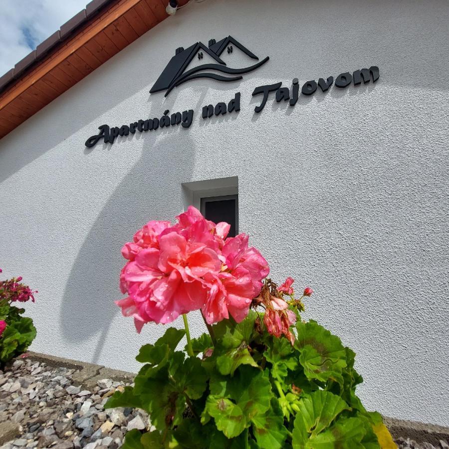 Apartmany Nad Tajovom バンスカー・ビストリツァ エクステリア 写真